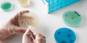 آموزش مبانی آزمایشگاه میکروبیولوژی