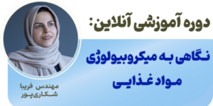 نـگاهـی بـه میکـروبیـولــوژی مـواد غـذایــی